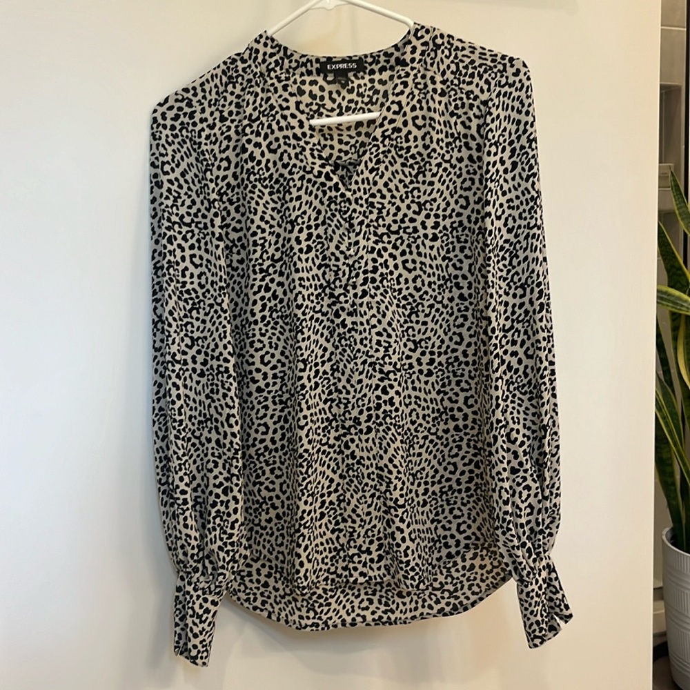 Express blouse